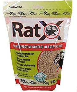 Rat.png
